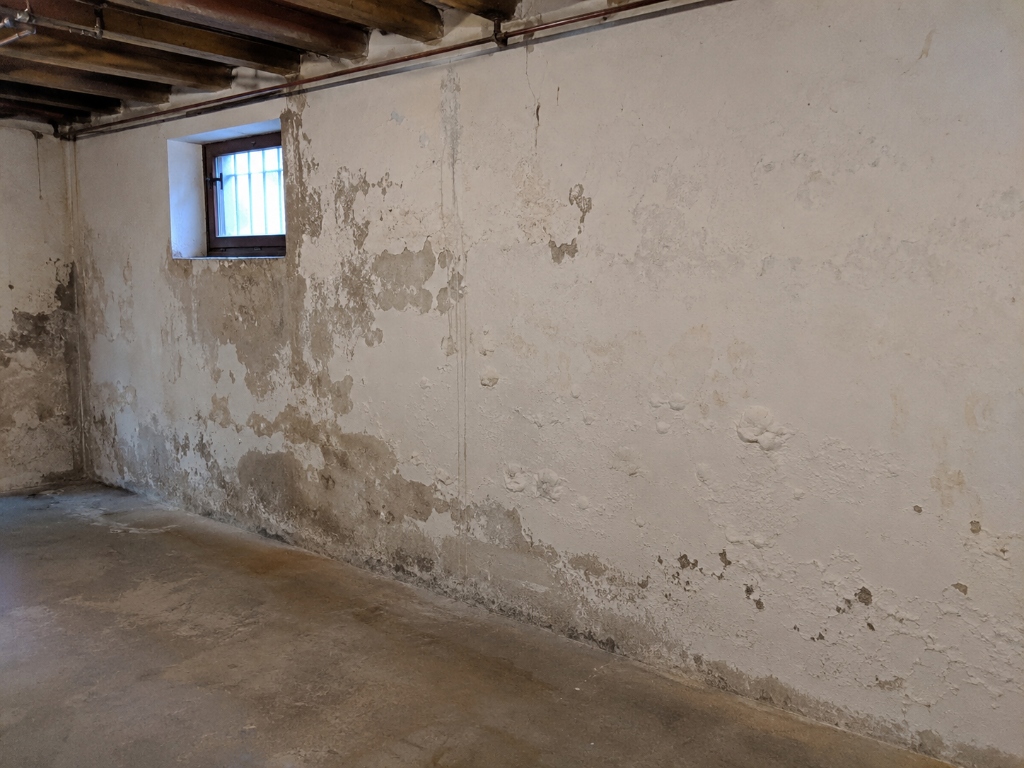 Vorher: Feuchte Wand